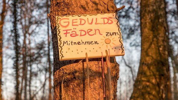 Ein Schild hängt an einem Baum. © picture alliance / Fotostand | Fotostand / Fritsch 