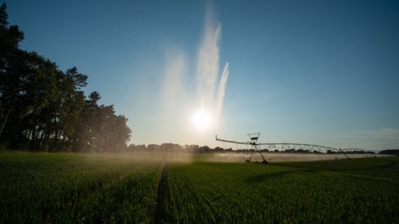 Mit einer sogenannten Kreisberegnung wird ein Weizenfeld in Niedersachsen bewässert. © dpa 