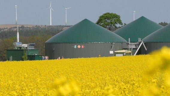 Eine Biogasanlage hinter einem Rapsfeld. © picture alliance/ dpa-Report Foto: Egbert Kamprath
