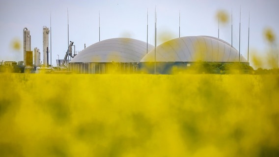 Die Gärtanks (Fermenter) einer Biogasanlage stehen hinter einem gelb leuchtenden Rapsfeld. © picture alliance/dpa/Jan Woitas Foto: Jan Woitas