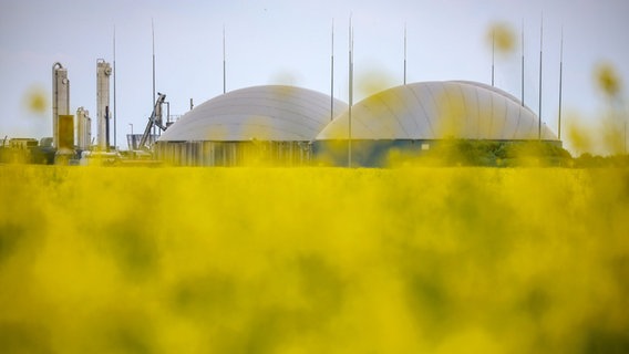 Die Gärtanks (Fermenter) einer Biogasanlage stehen hinter einem gelb leuchtenden Rapsfeld. Die Gärtanks (Fermenter) einer Biogasanlage stehen hinter einem gelb leuchtenden Rapsfeld. © picture alliance/dpa/Jan Woitas Foto: Jan Woitas