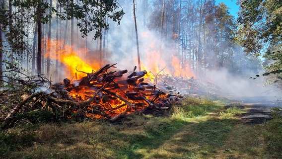 Ein Stapel Holz brennt in einem Wald. © Feuerwehr 