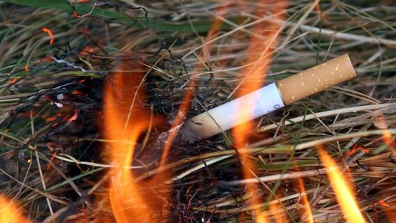 Ein glühende Zigarette entfacht am Boden ein Feuer. © picture-alliance/ dpa Foto: Karl-Josef Hildenbrand