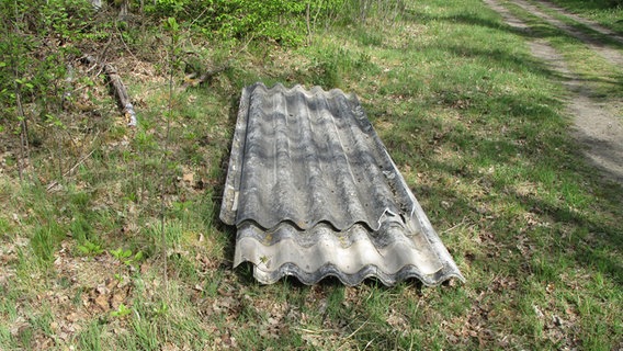 Auf einem Rasenstück liegen zwei illegal entsorgte Asbestplatten. © Polizei Wolfsburg 