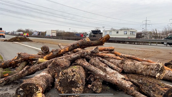 Baumstämme liegen als Teile einer Blockade auf der A2. © NDR Foto: Luca Benincasa