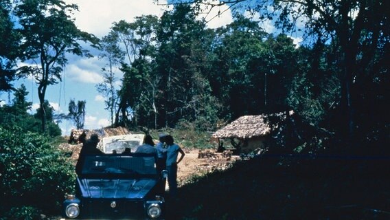 Auf einer Farm in Brasilien sind Bäume und eine Unterkunft für die dort Arbeitenden zu sehen. © Friedrich Brügger/privat 