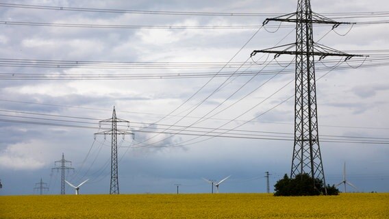 Windräder und Strommasten in einer Landschaft mit Rapsfeldern © NDR Foto: Uwe Day