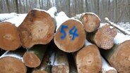 Ein Stapel Brennholz ist mit der Nummer "54" markiert. © NDR Foto: Imke Caselli