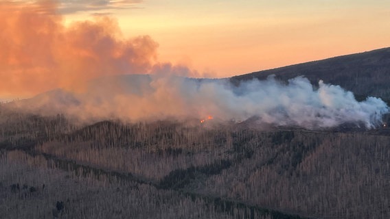 Eine Luftaufnahme zeigt einen Waldbrand im Harz. © Bundespolizeipräsidium 