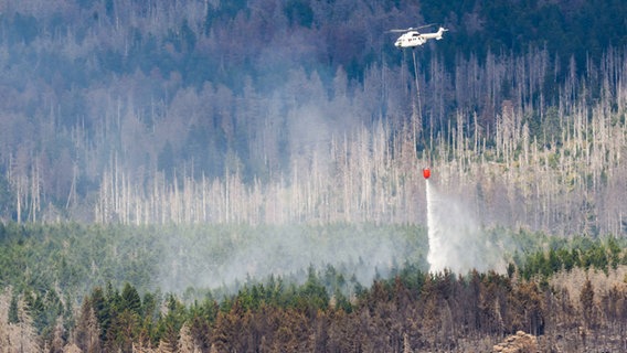 Ein Hubschrauber mit einem Löschwasserbehälter im Einsatz. (Bekämpft wird ein Waldbrand am Brocken.) © Matthias Bein/dpa Foto: Matthias Bein/dpa