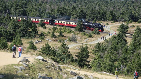 Ein Zug der Harzer Schmalspurbahn HSB fährt zum Brocken. © picture alliance / dpa / dpa-Zentralbild Foto: Matthias Bein