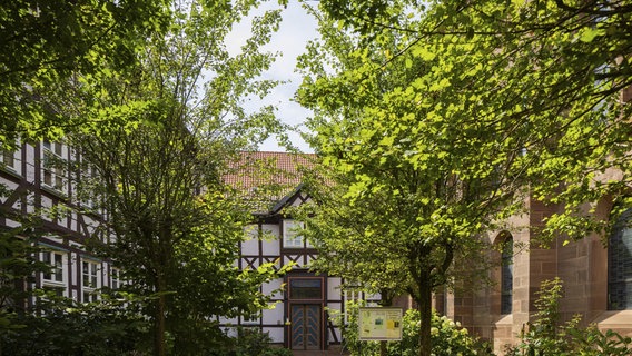 Vor einem Fachwerkhaus stehen viele Bäume mit grünen Blättern. © picture alliance / imageBROKER Foto: Max Gaertner