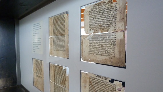 Fragmente eines 500 Jahre alten Till Eulenspiegel-Buches. © NDR Foto: Christoph Heymann