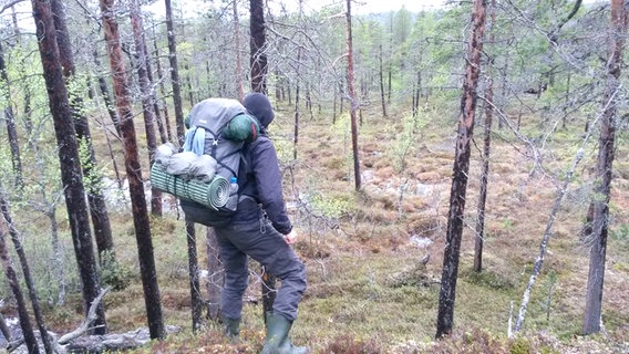 Kai Uwe Dobrzewski wandert durch die Wälder Europas. © Kai Uwe Dobrzewski Foto: Kai Uwe Dobrzewski