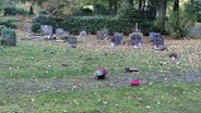 Auf einem Friedhof sind Spuren von Vandalismus zu sehen. © HannoverReporter 