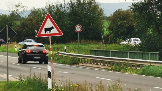 Ein Warnschild vor Rindern an der B27. © NDR Foto: Wieland Gabcke