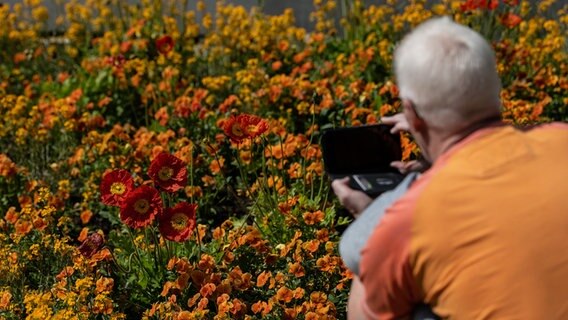 Besucher sitzen bei der niedersächsischen Landesgartenschau an einem Blumenbeet. © dpa Foto: Swen Pförtner