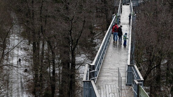 Besucher stehen auf dem Baumwipfelpfad. Mit dem Image als Urlaubsregion für alte Menschen kämpft der Harz seit Jahren. © dpa-Bildfunk Foto: Swen Pförtner