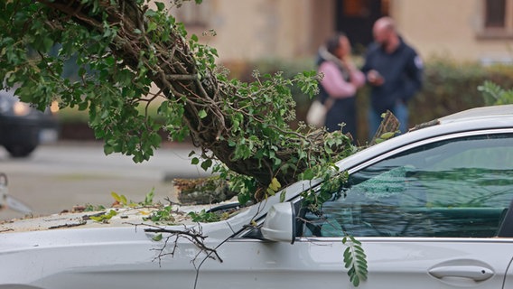 Der Ast eines Baumes steckt in einer Windschutzscheibe eines Autos das in Wernigerode parkt. © dpa Foto: Matthias Bein/dpa