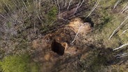 Ein Loch in einem Waldstück in dem eine vermisste 19-Jährige aus Klötze tot gefunden wurde. © Matthias Strauss Foto: Matthias Strauss