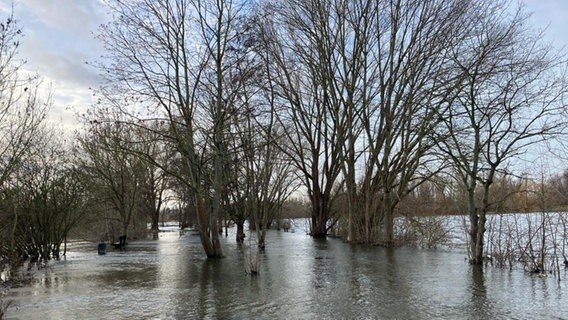 Die Oker in Braunschweig führt Hochwasser. © NDR Foto: Ute Andres