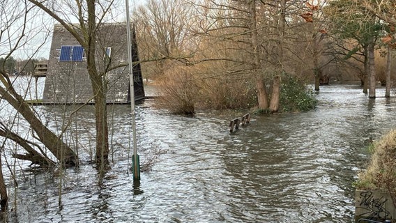 Die Oker in Braunschweig führt Hochwasser. © NDR Foto: Ute Andres