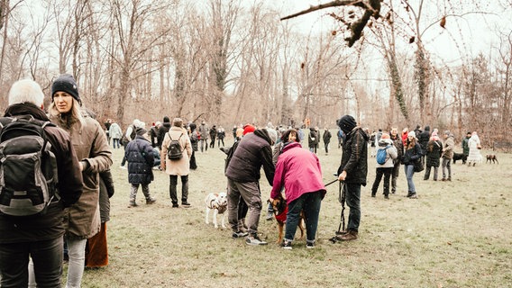 Auf einer Wiese treffen Besuchende eines "Bark Dates" verschiedene Hunde aus dem Tierschutz. © www.fotos-von-lisa.de Foto: www.fotos-von-lisa.de