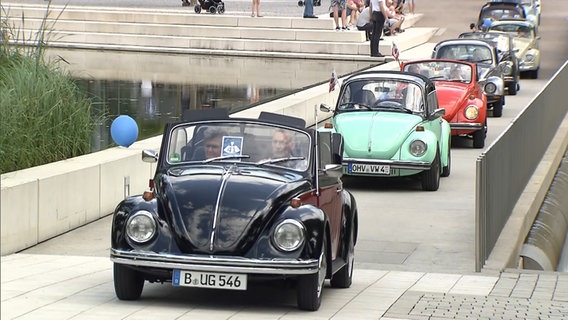VW Käfer fahren in einem Korso. VW Käfer fahren in einem Korso. © NDR
