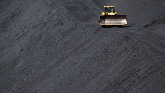 Eine Planierraupe fährt über Steinkohle im Kohlehafen neben dem Kohlekraftwerk Mehrum im Landkreis Peine. © picture alliance/dpa Foto: Julian Stratenschulte