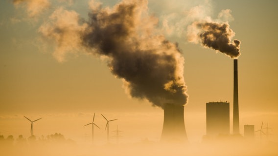 Ein Kohlekraftwerk steht neben Windräder am Horizont. © dpa-Bildfunk Foto: Julian Stratenschulte