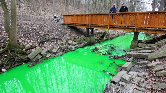 Das Wasser des Bachs Grone hat sich nach einem Brand in einer Lagerhalle für Chemikalien grün verfärbt. © dpa Foto: Stefan Rampfel
