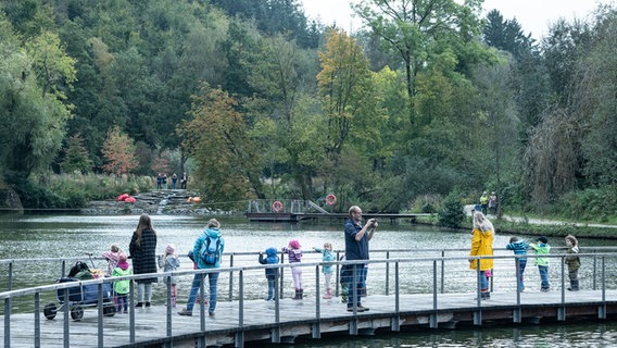 Besucher stehen an einem Teich auf der Landesgartenschau in Bad Gandersheim. © picture alliance / dpa Foto: Swen Pförtner
