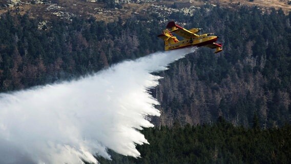 Ein italienisches Löschflugzeug des Typs Typs Canadair CL415 bei der Bekämpfung eines Waldbrandes am Brocken. © dpa-Bildfunk Foto: Matthias Bein