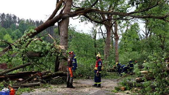 Einsatzkräfte bei Aufräumarbeiten nach einem Unwetter in Mackensen. © NDR Foto: Michael Brandt