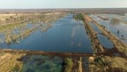 Das Große Moor bei Sassenburg im Landkreis Gifhorn gut gefüllt mit Wasser. © NDR 