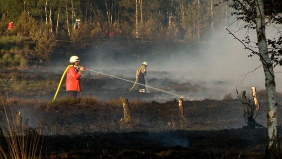 Feuerwehrmänner beim Löschen eines Brandes in einem Moorgebiet. © NonstopNews 