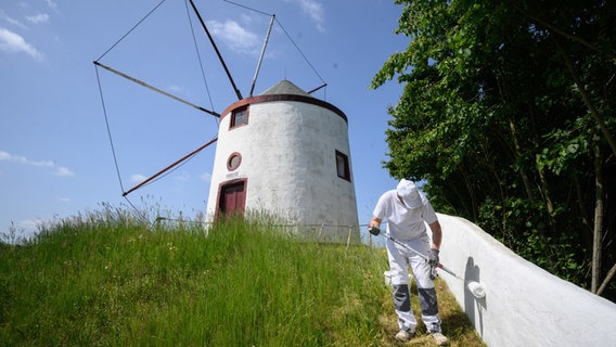 Ein Handwerker nimmt letzte Arbeiten rund um eine Mühle im Internationalen Mühlenmuseum Gifhorn vor. © dpa Foto: Julian Stratenschulte