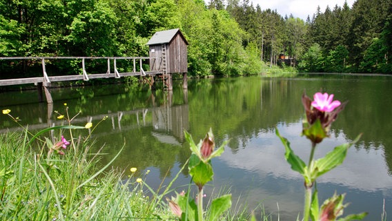 Ein Teich mit Striegelhaus ist in Clausthal-Zellerfeld zu sehen. © dpa-Bildfunk Foto: Holger Hollemann