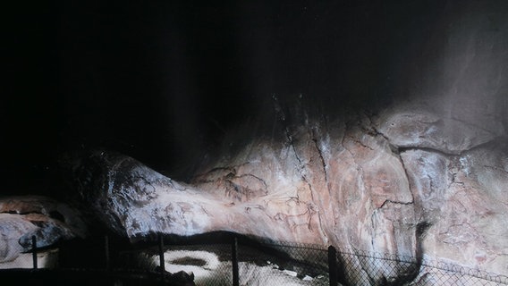 Ein Teil der Höhlenkunst-Ausstellung im Schöninger Paläon wird ausgeleuchtet. © NDR Foto: Peter Jagla