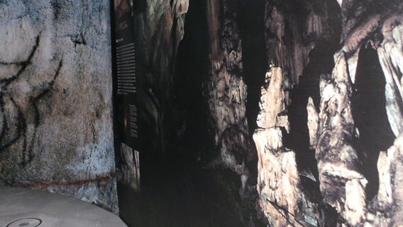 Eine Wand voller Information steht in der Höhlenkunst-Ausstellung im Schöninger Paläon. © NDR Foto: Peter Jagla