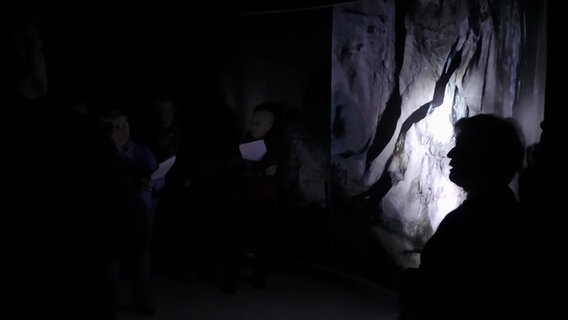 Mehrere Menschen besuchen eine Ausstellung über Höhlenkunst im Paläon. © NDR Foto: Peter Jagla