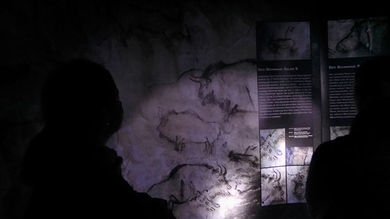 Eine Frau besucht die Höhlenkunst-Ausstellung im Schöninger Paläon. © NDR Foto: Peter Jagla