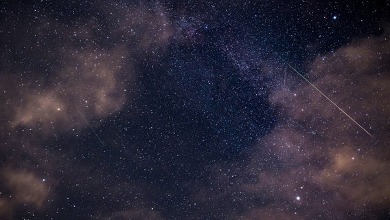 Sternschnuppen am Nachthimmel. © dpa-Bildfunk Foto: Ole Spata