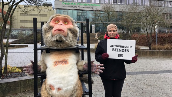 Ein Frau steht neben einer überlebensgroßen Affenfigur vor dem Deutschen Primatenzentrum in Göttingen und hält ein Schild mit der Aufschrift "Affenversuche beenden" in den Händen. © NDR Foto: Jens-Walter Klemp