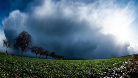 Regenwolken ziehen über ein Feld. © dpa - Bildfunk Foto: Swen Pförtner