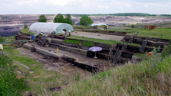 Die Fundstelle Schöningen 13 II mit den 300.000 Jahre alten Ablagerungen eines ehemaligen Seeufers. © Niedersächsisches Landesamt für Denkmalpflege Foto: J. Lehmann