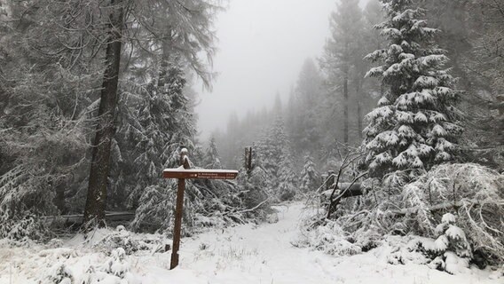 Blick auf einen Wegweiser in einem verschneiten Wald. © NDR Foto: Martina Thorausch