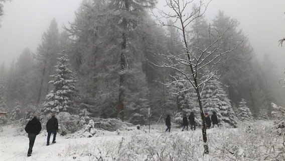 Menschen gehen im Schnee spazieren. © NDR Foto: Martina Thorausch