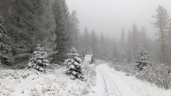 Menschen gehen im Schnee spazieren. © NDR Foto: Martina Thorausch