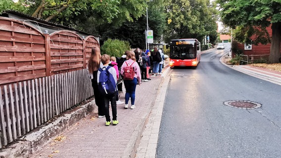 Schüler stehen in einer Schlange an einer Haltestelle, während ein Bus eintrifft. © NDR Foto: Wieland Gabke